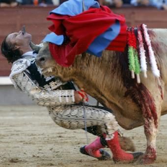 goring of Aparicio