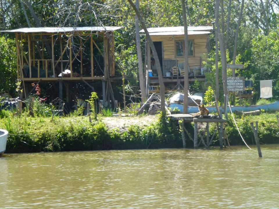 island homes with dog