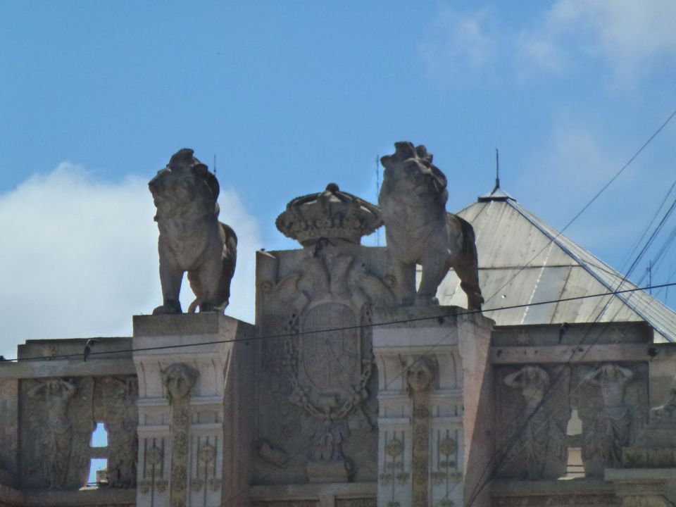 unexpected lions, Rosario