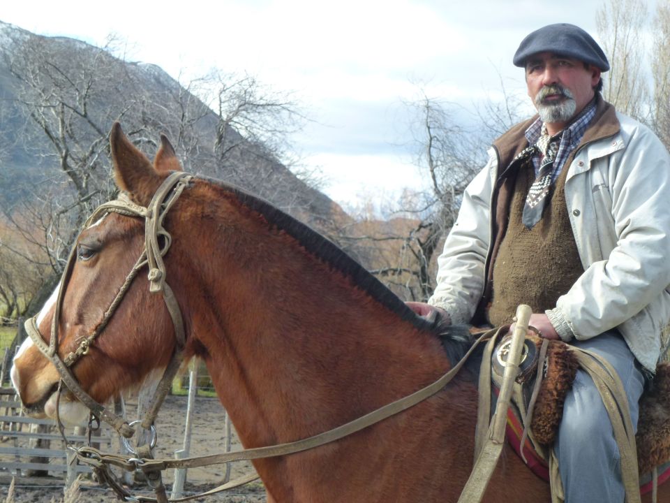 gaucho and horse