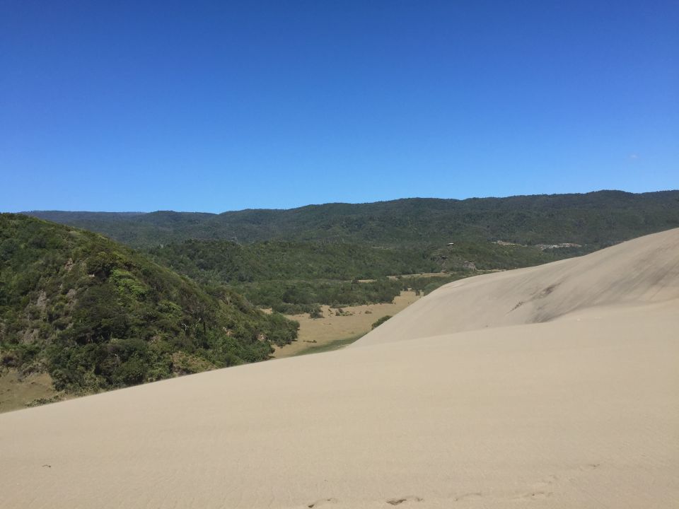 day 1 dunes and green 2