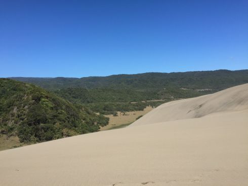 day 1 dunes and green 2