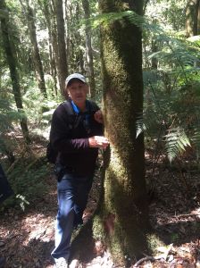 day2 candelo w guide better