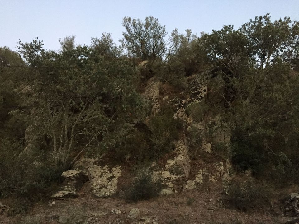small cliff on path near Dia's pool
