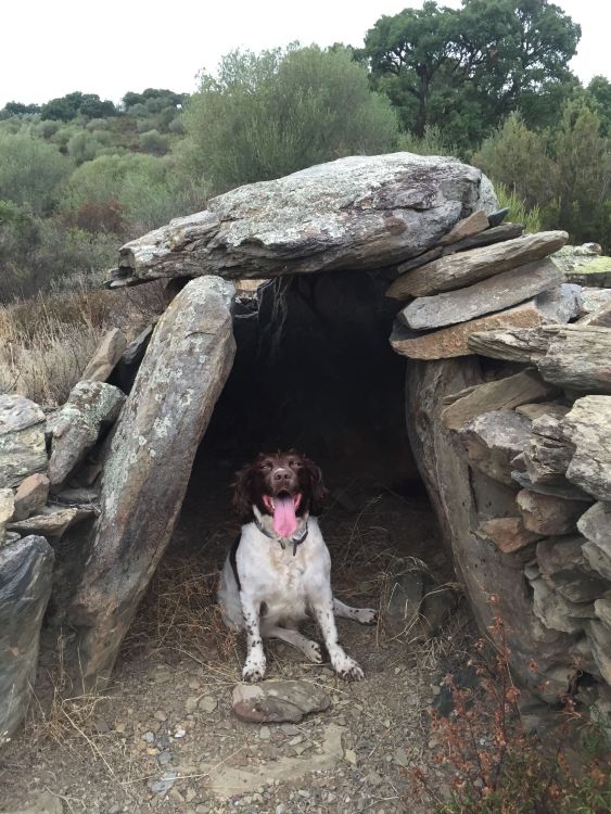 Burial chamber with (living) occupant