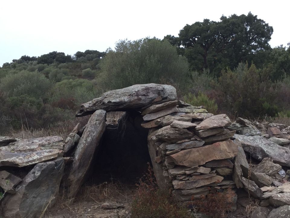 Burial chamber 'coma de felis'