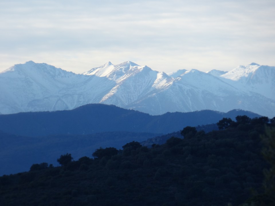 Canigou