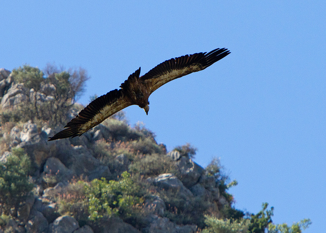 white-mountains-crete-2