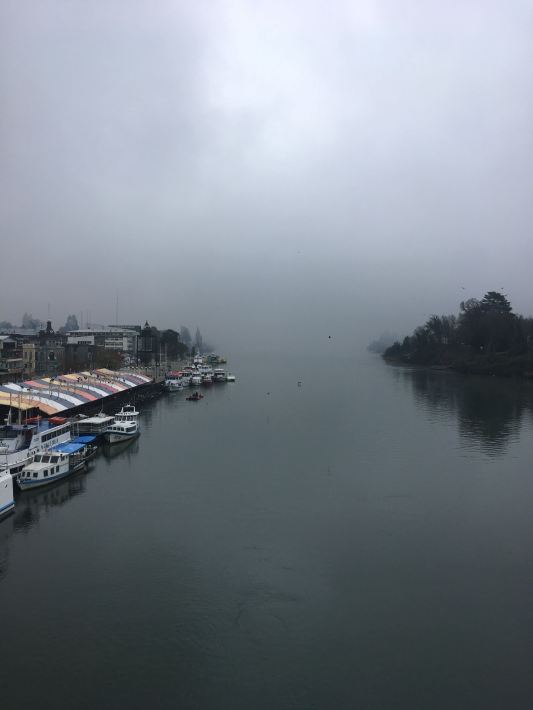 Valdivia view from bridge 2