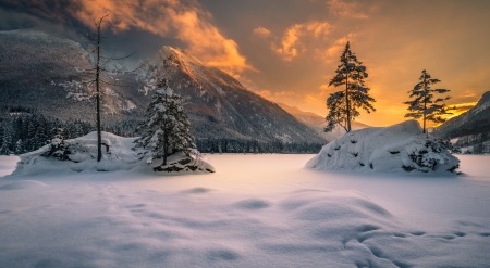 2529141-bigthumbnail